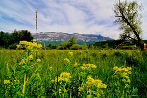 une-zone-humide-de-terre-nue-a-viviers-du-lac-photo-le-dl-p-e-b-1753880565 (1) une-zone-humide-de-terre-nue-a-viviers-du-lac-photo-le-dl-p-e-b-1753880565 (1)
